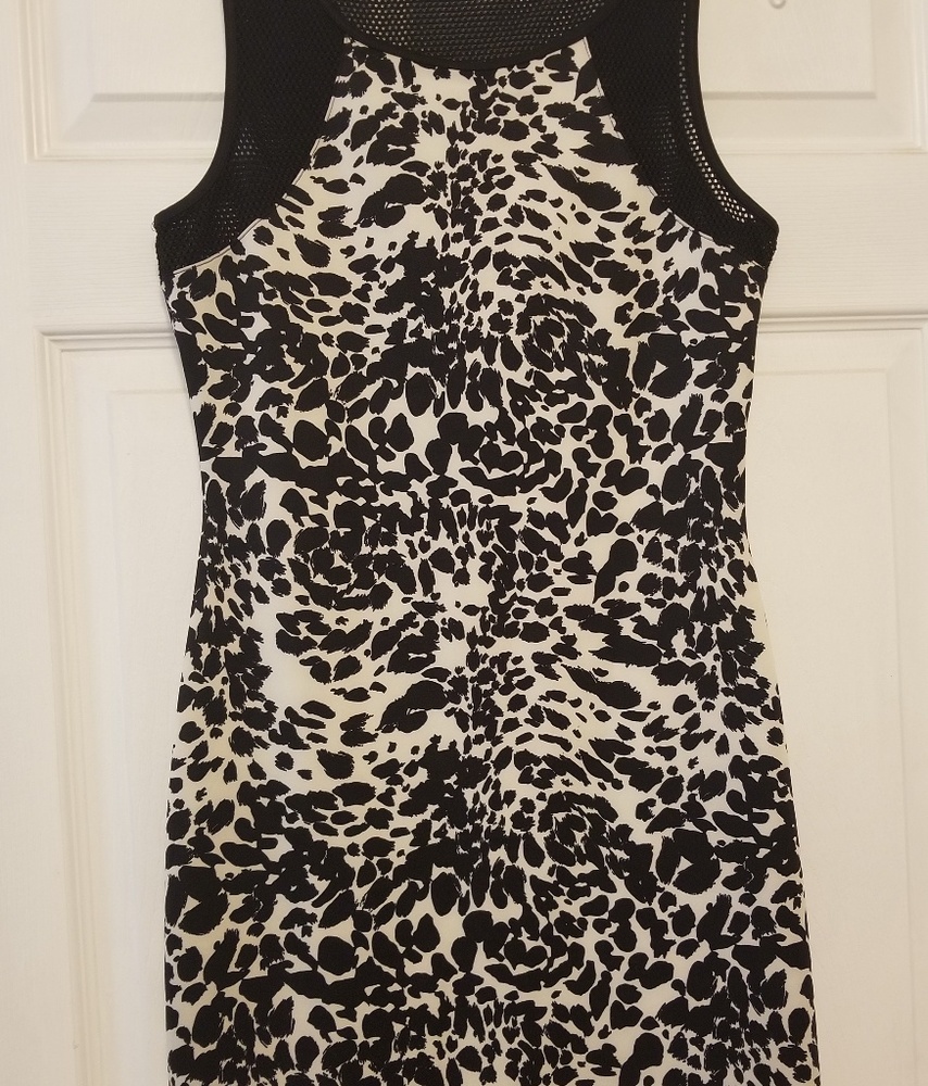 Fitted dress with mesh back
